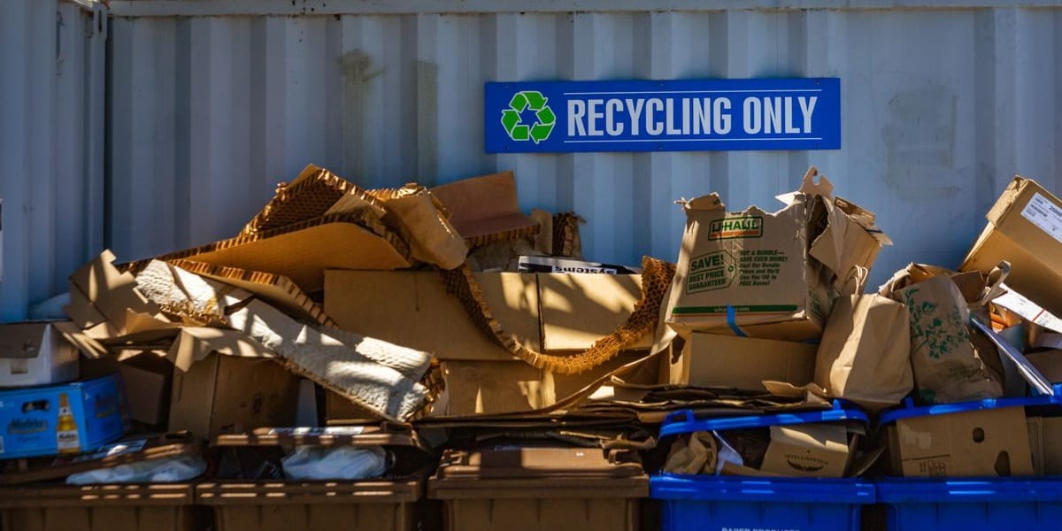 The Circular Economy for Vietnamese SMEs: From Theory to Viable Models