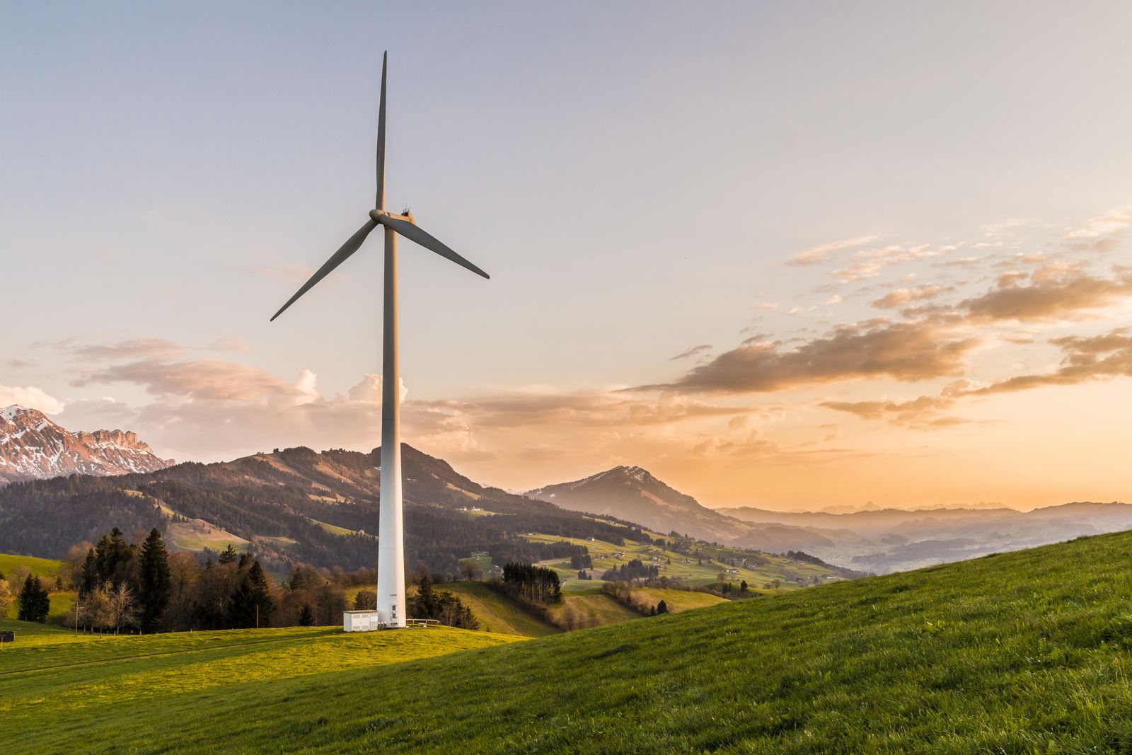 Thị trường carbon Việt Nam: hạn ngạch, tín chỉ carbon và SME đứng ở đâu (2026)